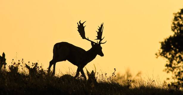 Entrada al Centro Andaluz de la Fauna Salvaje