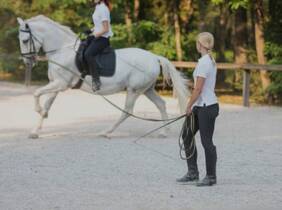 ✦ 3 o 5 clases de hípica en La Finca Pony Club