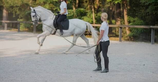 ✦ 3 o 5 clases de hípica en La Finca Pony Club