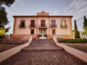 Visita y cata a bodega y viñedos