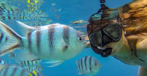 Sesión de snorkel para 1 o 2 personas en Freeandivers