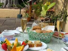 Entrada al orquidario y brunch en Café Orquidea