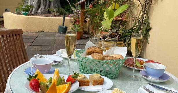 Entrada al orquidario y brunch en Café Orquidea