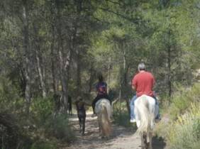 54% de dto. en Equitación - Actividad recreativa en MAIGMO