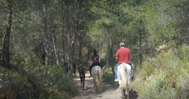 54% de dto. en Equitación - Actividad recreativa en MAIGMO