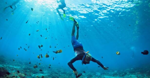 ¡Sesión de snorkel en Montgrí! ¡Descubre el paraíso submarino!