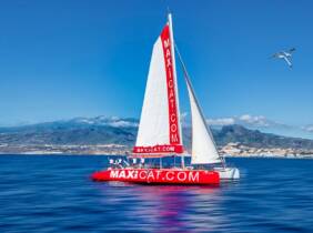 ¡Descubre la aventura! Excursión en catamarán con comida y bebida