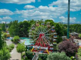 Pulsera de adulto para acceso al parque de atracciones de Zaragoza