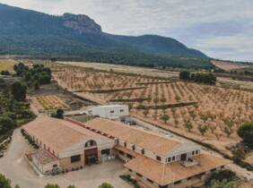 Cata de vinos en Museo del Vino Hacienda del Carche Casa de la Ermita