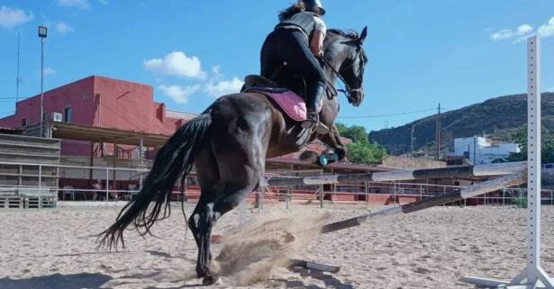 Clases de equitación para 1 persona en Finca Ecuestre La Primavera