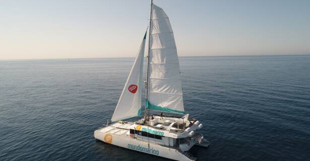 Descubre Málaga desde el mar: paseo en catamarán con Mundo Marino