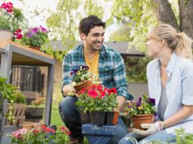 Curso online de jardinería