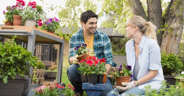 Curso online de jardinería