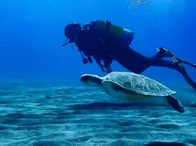 Bautismo de buceo para 1 o 2 personas en Thalassa Buceo