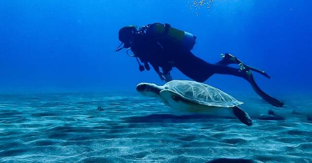 Bautismo de buceo para 1 o 2 personas en Thalassa Buceo