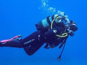 Buceo con tiburones