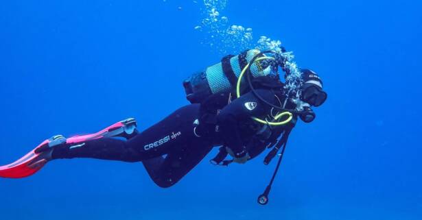 Buceo con tiburones