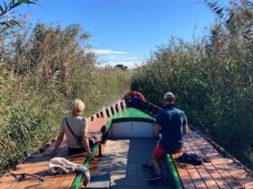 ¡Descubre la magia de la Albufera en barca!