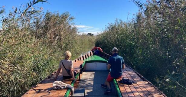 ¡Descubre la magia de la Albufera en barca!