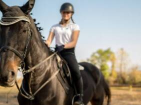 Paseo a caballo por las pistas para 1