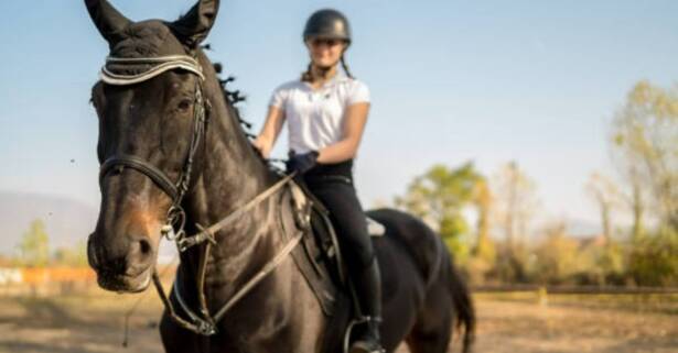 Paseo a caballo por las pistas para 1