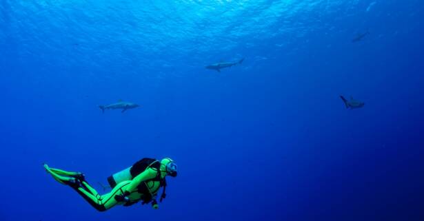 Bautismo de buceo en el mar