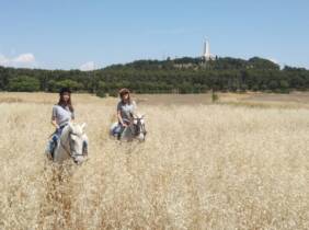 Descubre la emoción de montar a caballo en Hípica Getafe