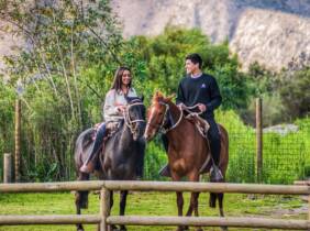 ¡Descubre la emoción de cabalgar en Montserrat!