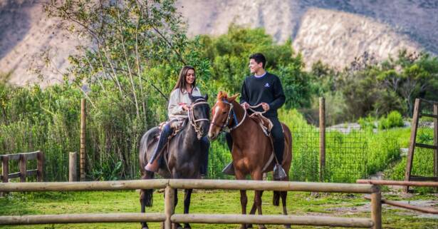 ¡Descubre la emoción de cabalgar en Montserrat!