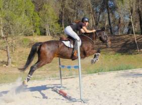 ¡Aprende a montar a caballo como un pro en Centre Hípic Montserrat!