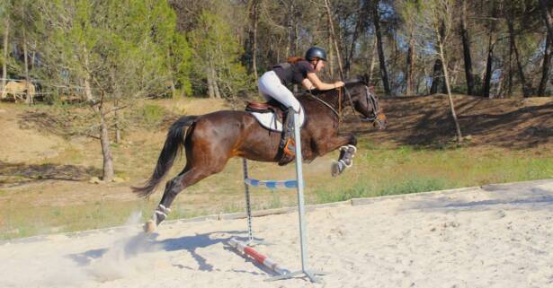 ¡Aprende a montar a caballo como un pro en Centre Hípic Montserrat!