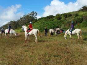 Paseo a caballo para 2 o 4 personas en Centro Hípico Las Riendas