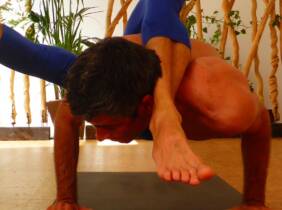 Clases de yoga online