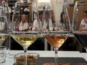 Cata de vinos con degustación de ibéricos en Vinopremier