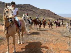 Descubre la emoción de cabalgar con un paseo a caballo en Los Faldones