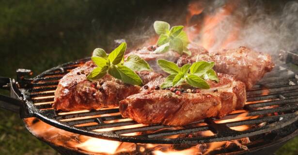 Parrillada junto al Pantano de Cubillas