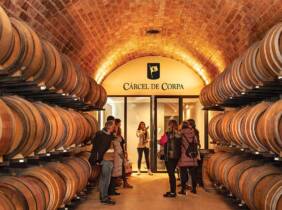 Cata de vinos y embutidos de Requena con visita guiada