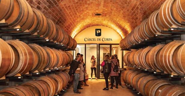 Cata de vinos y embutidos de Requena con visita guiada