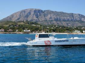 Excursión en catamarán por la Bahía de Calpe con Mundo Marino Altea