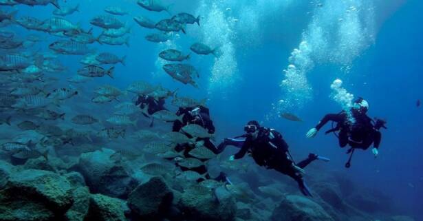 Curso SSI Open WaterDiver