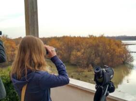 Excursión para 2 o 4 personas a Doñana con Naturanda Turismo Ambiental