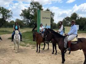 Paseo a caballo o en coche de caballos por el corazón de Doñana