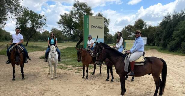 Paseo a caballo o en coche de caballos por el corazón de Doñana