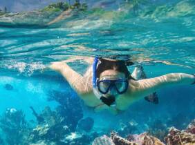 Tour guíado de snorkel para 2 o 4