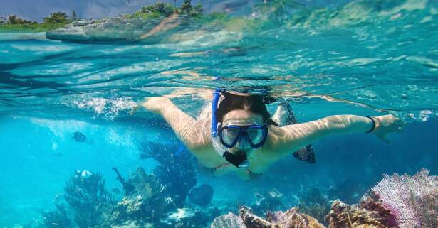 Tour guíado de snorkel para 2 o 4