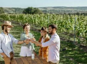 Visita guiada a la bodega y cata de vinos en Bodegas Urbina