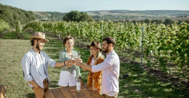 Visita guiada a la bodega y cata de vinos en Bodegas Urbina