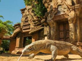 Entrada de niño o adulto a Bioparc Fuengirola