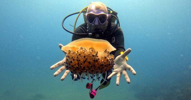 Bautizo de buceo para 1