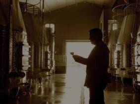 Visita a bodega con cata de vino